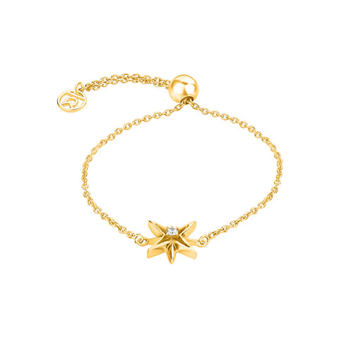 Symbol Bracelets Online | North Star Symbol Bracelet | "9 to 9" Office Wear | TALISMAN
